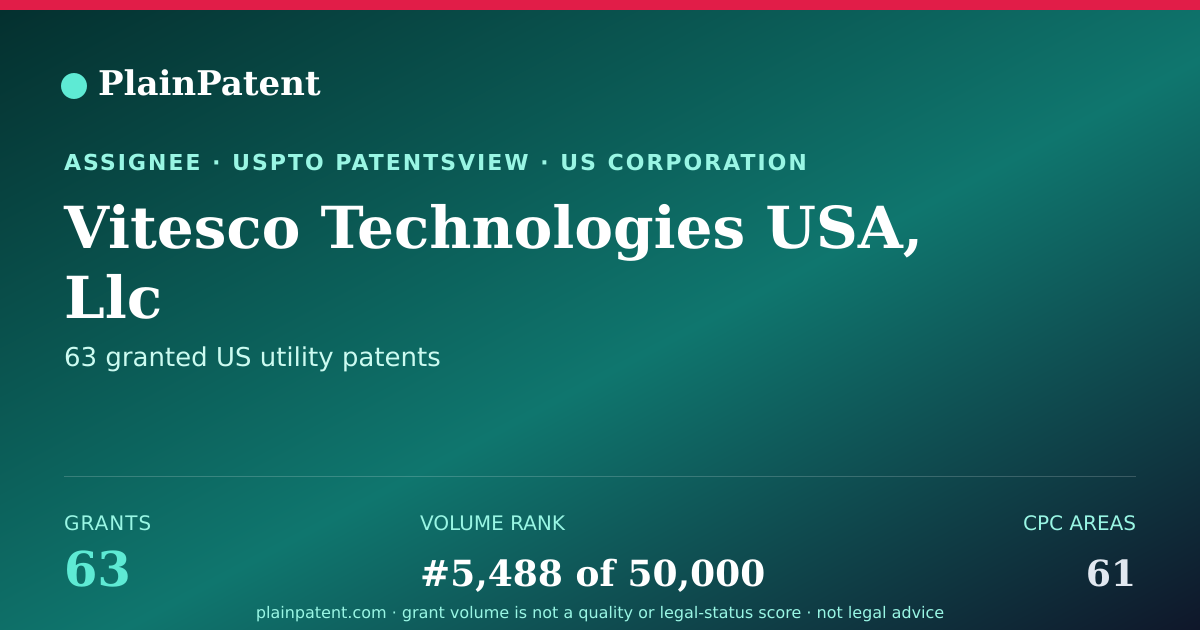 Shareable card for Vitesco Technologies USA, Llc Patent Portfolio