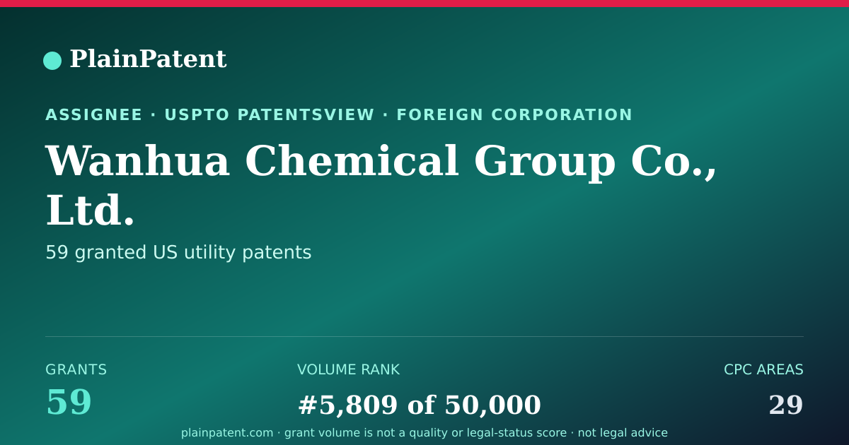 Shareable card for Wanhua Chemical Group Co., Ltd. Patent Portfolio